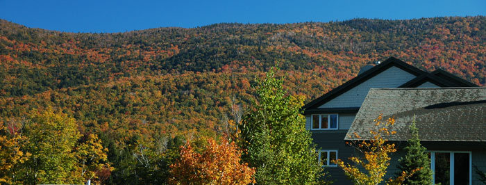 Fall foliage in the mountains
